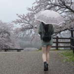 11093099_803328939754726_454896243_a