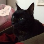 Profile_382774659_75sq_1391689026