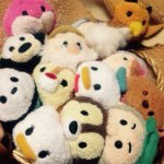 11055529_1407680782873464_797862237_a