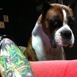 Profile_186498172_75sq_1366985325