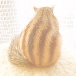 10547320_1434515940209987_69424228_a