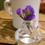 11199568_1432581043711224_2075449761_a