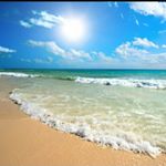 11352686_864294700319018_1236455210_a