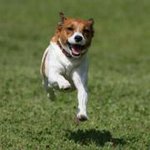 Profile_367844379_75sq_1367602870