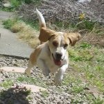 Profile_1239410144_75sq_1396599347