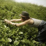 11055660_1379667859022467_589657493_a