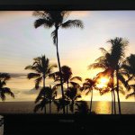 11357933_392078574328799_629782901_a