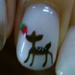 11428663_1792876364272720_1715760439_a