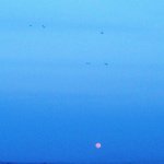 11098427_772132946215958_1627352533_a