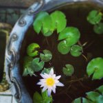 10735158_988442114513858_529316790_a