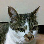 11356892_893501954025413_549944745_a