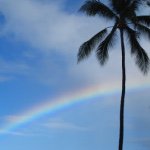 11325715_788227421292123_1491296190_a