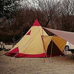 11352340_1461028944197272_517602172_a