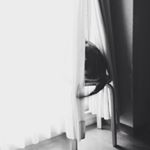 11421999_829751557138081_1655631140_a