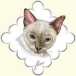 10808615_666816426750602_1950134050_a