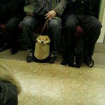 Profile_35259212_75sq_1358558981