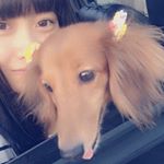 11375385_1644337799158023_989939579_a