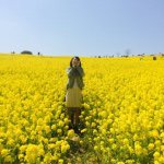 11111506_784089881668632_1577230140_a