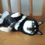 11311512_397872270405122_1460357062_a