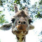 Profile_633906329_75sq_1383014670