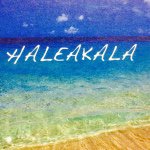 11311486_903206536404433_1560656217_a