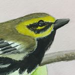 11849296_1460438697614038_1501568055_a