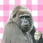 11377883_880910751976087_484264043_a