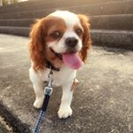 11311525_1448010385508881_1674987529_a