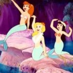 11379699_114146322254019_1187413429_a