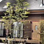 11282230_1577505375807784_1876114096_a