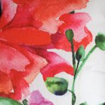 11426683_1597335570539772_1252754341_a