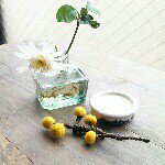 10809696_481723818635504_1706642708_a