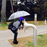 10802936_401318110018426_1471474286_a