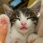 10576148_527604214007175_1051114797_a