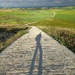 10895392_1599685923586242_660241334_a