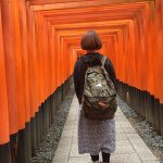 11376375_740046239458538_2023868405_a