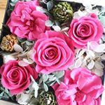 11410395_1472063783116388_2132457371_a