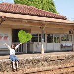 11258804_356805247856415_138093980_a