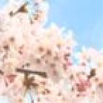 Profile_7544413_75sq_1324604052