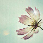 11254414_759854440801782_1654509132_a