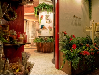 Visee　Line（ヴィセ　ライン）