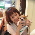 1517126_553303068150047_38086222_a