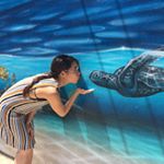 11820657_489189157922130_2057987669_a