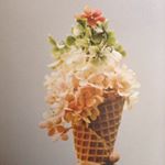 11373598_622912887811276_847081057_a