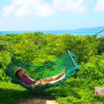 11350761_1612037475706434_270535297_a