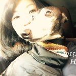 11005015_411076282398934_1791963246_a