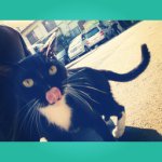 Profile_33808935_75sq_1362317398