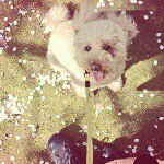 10755885_731283100298387_729843969_a