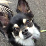 Profile_318836431_75sq_1364127523