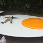 11821716_759231210849626_2120502046_a